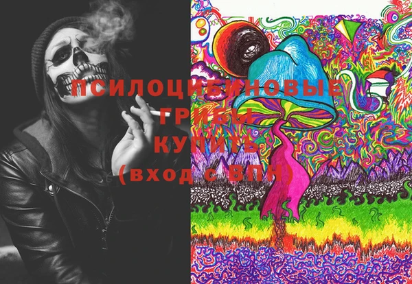 мдпв Абинск