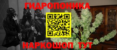 PSILOCYBIN Брянск